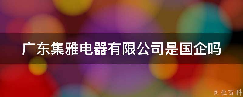 广东集雅电器有限公司是国企吗