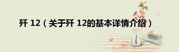 歼 12（关于歼 12的基本详情介绍）
