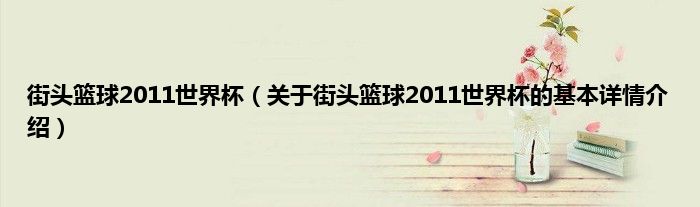 街头篮球2011世界杯（关于街头篮球2011世界杯的基本详情介绍）