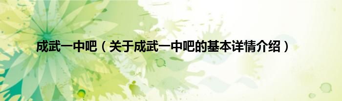 成武一中吧（关于成武一中吧的基本详情介绍）