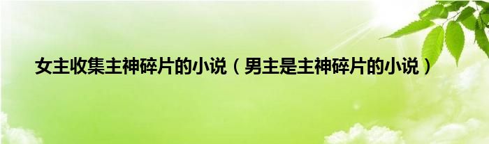 女主收集主神碎片的小说（男主是主神碎片的小说）
