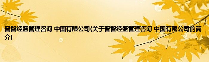 普智经盛管理咨询 中国有限公司(关于普智经盛管理咨询 中国有限公司的简介)