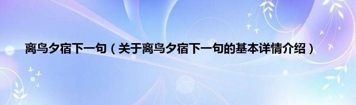 离鸟夕宿下一句（关于离鸟夕宿下一句的基本详情介绍）