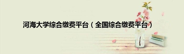 河海大学综合缴费平台（全国综合缴费平台）