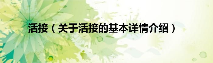 活接（关于活接的基本详情介绍）