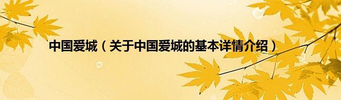 中国爱城（关于中国爱城的基本详情介绍）