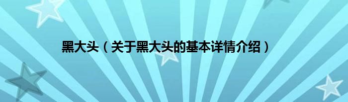 黑大头（关于黑大头的基本详情介绍）