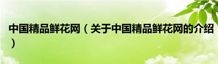 中国精品鲜花网（关于中国精品鲜花网的介绍）