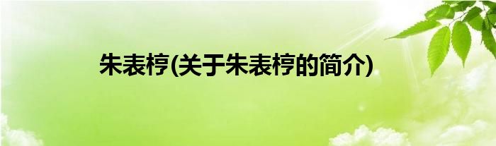 朱表梈(关于朱表梈的简介)