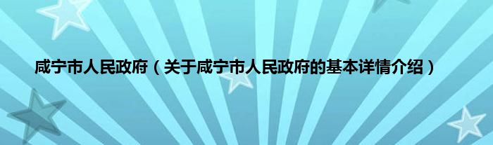 咸宁市人民政府（关于咸宁市人民政府的基本详情介绍）