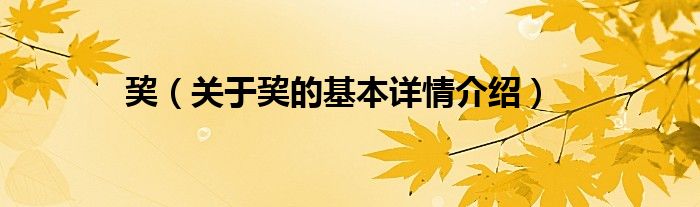 巭（关于巭的基本详情介绍）