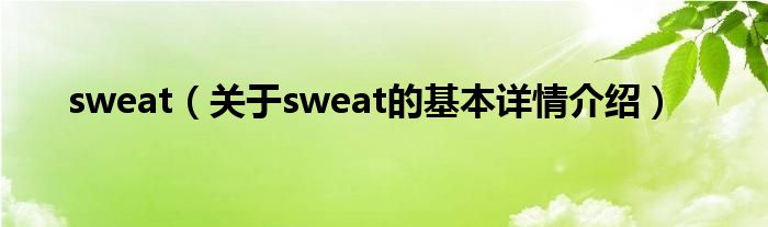 sweat（关于sweat的基本详情介绍）