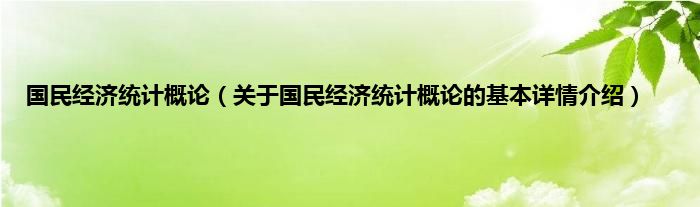 国民经济统计概论（关于国民经济统计概论的基本详情介绍）