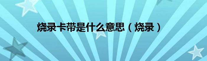 烧录卡带是什么意思（烧录）