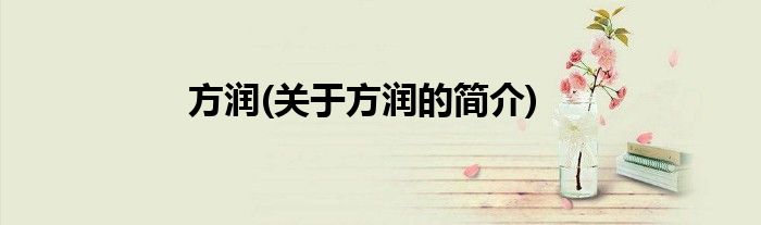 方润(关于方润的简介)