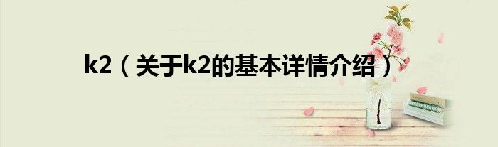 k2（关于k2的基本详情介绍）