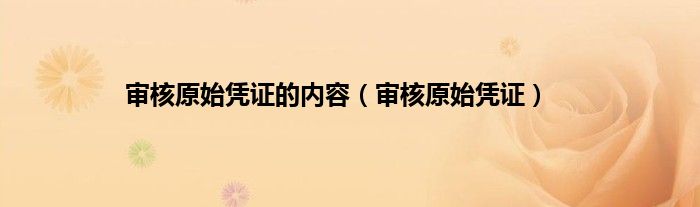 审核原始凭证的内容（审核原始凭证）