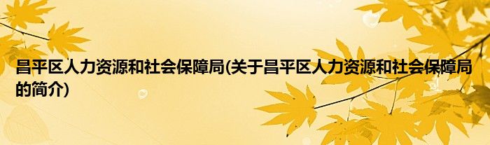 昌平区人力资源和社会保障局(关于昌平区人力资源和社会保障局的简介)
