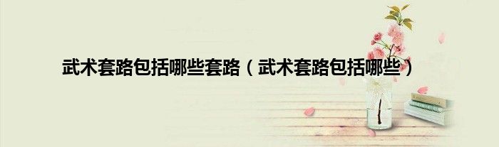 武术套路包括哪些套路（武术套路包括哪些）