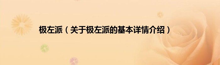 极左派（关于极左派的基本详情介绍）
