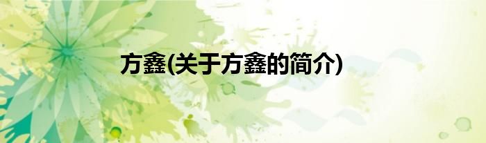 方鑫(关于方鑫的简介)