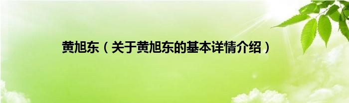 黄旭东（关于黄旭东的基本详情介绍）