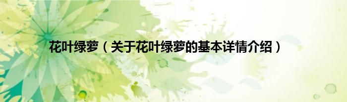 花叶绿萝（关于花叶绿萝的基本详情介绍）
