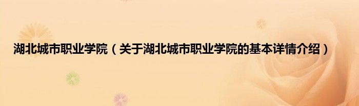 湖北城市职业学院（关于湖北城市职业学院的基本详情介绍）