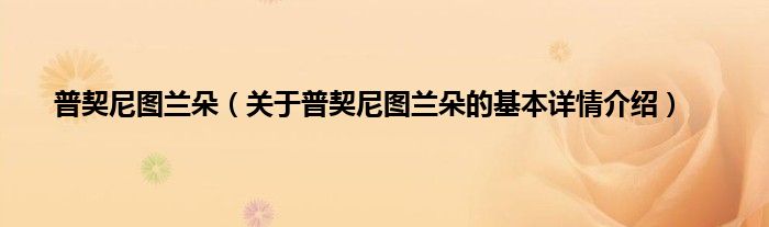 普契尼图兰朵（关于普契尼图兰朵的基本详情介绍）