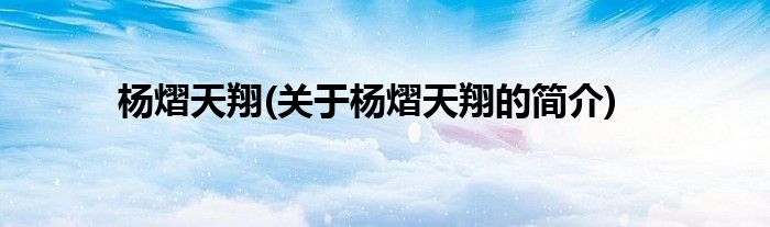 杨熠天翔(关于杨熠天翔的简介)