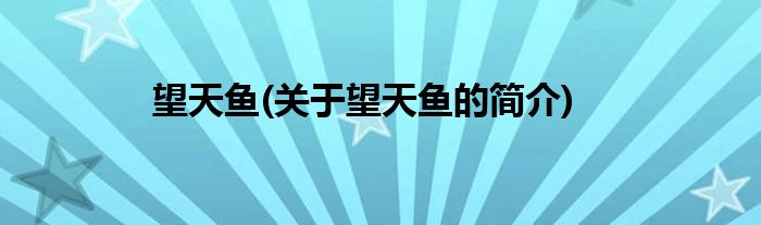望天鱼(关于望天鱼的简介)