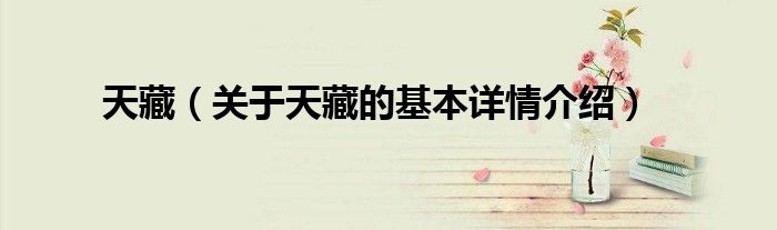 天藏（关于天藏的基本详情介绍）