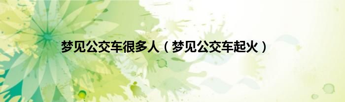 梦见公交车很多人（梦见公交车起火）