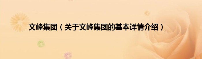 文峰集团（关于文峰集团的基本详情介绍）