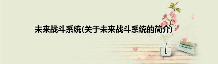 未来战斗系统(关于未来战斗系统的简介)