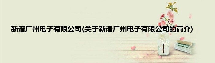 新谱广州电子有限公司(关于新谱广州电子有限公司的简介)