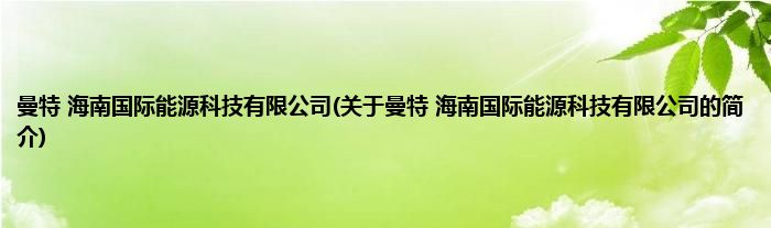 曼特 海南国际能源科技有限公司(关于曼特 海南国际能源科技有限公司的简介)
