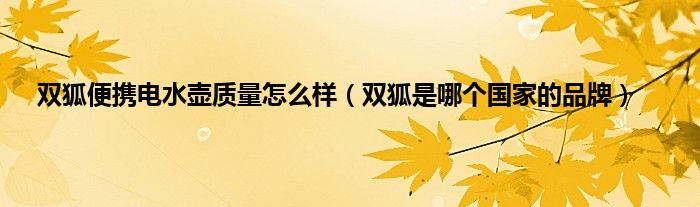 双狐便携电水壶质量怎么样（双狐是哪个国家的品牌）