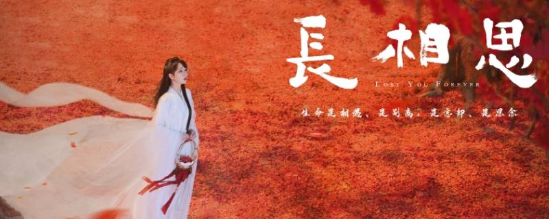 长相思杨紫和谁在一起了