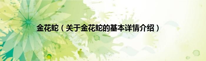 金花蛇（关于金花蛇的基本详情介绍）