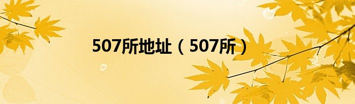 507所地址（507所）