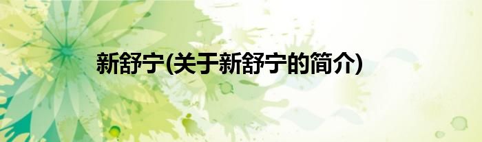 新舒宁(关于新舒宁的简介)