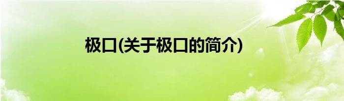 极口(关于极口的简介)