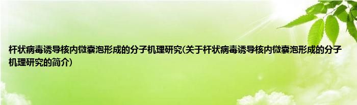 杆状病毒诱导核内微囊泡形成的分子机理研究(关于杆状病毒诱导核内微囊泡形成的分子机理研究的简介)