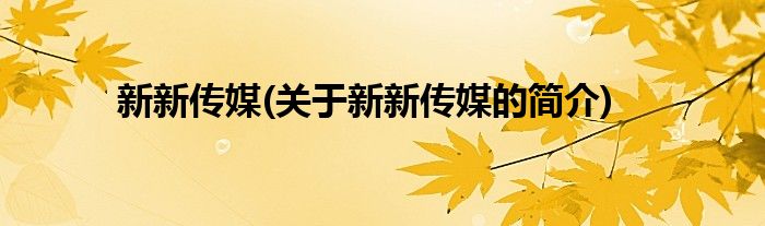 新新传媒(关于新新传媒的简介)