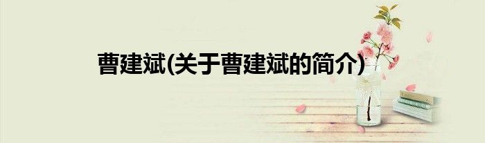 曹建斌(关于曹建斌的简介)