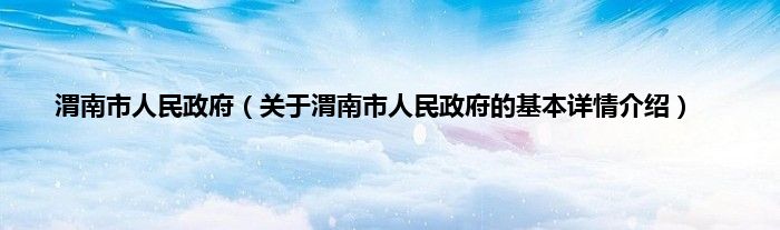 渭南市人民政府（关于渭南市人民政府的基本详情介绍）