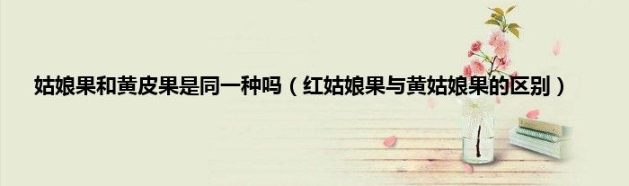 姑娘果和黄皮果是同一种吗（红姑娘果与黄姑娘果的区别）