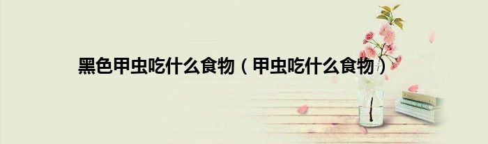 黑色甲虫吃什么食物（甲虫吃什么食物）