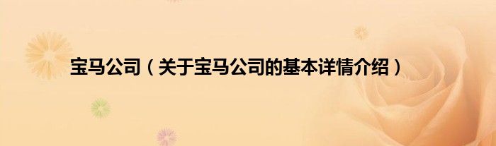 宝马公司（关于宝马公司的基本详情介绍）